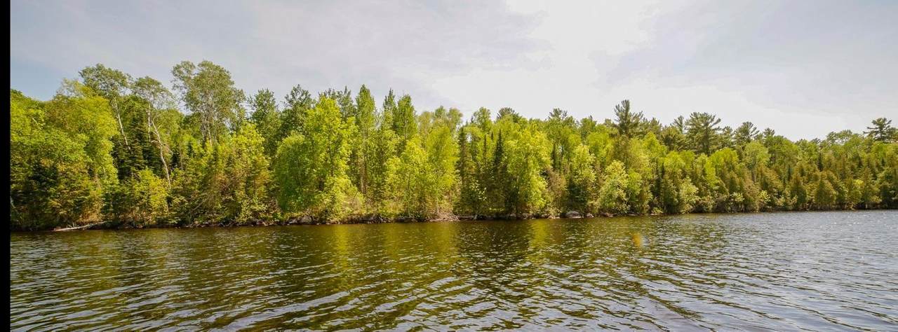 TBD Pine Island - Photo 1