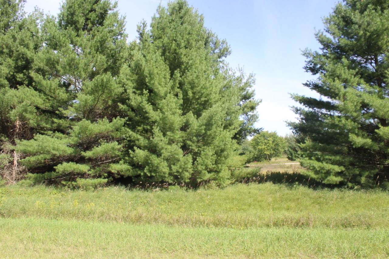 TBD Pinto Drive - Photo 1