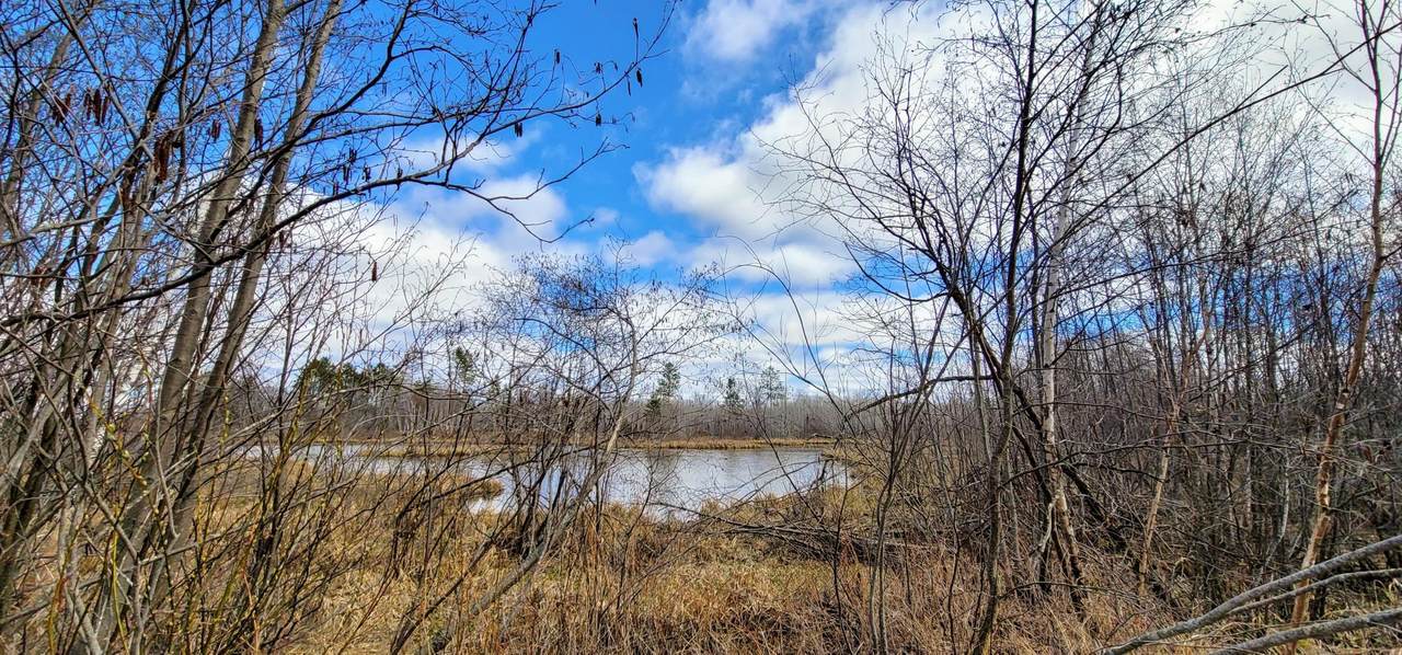 XXX Miller Lake Road - Photo 1