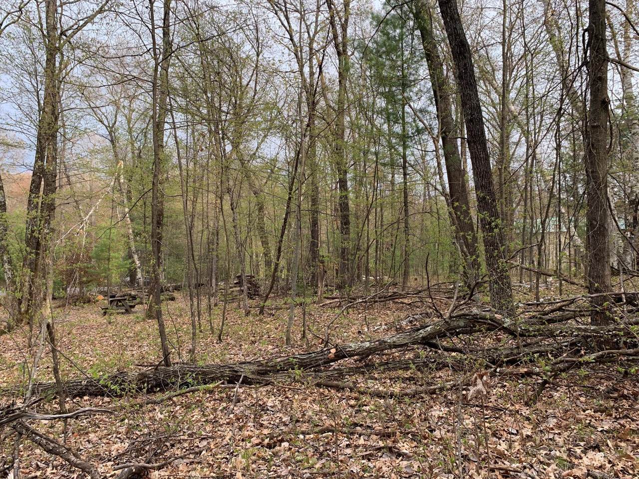 0 Walberg Road - Photo 1