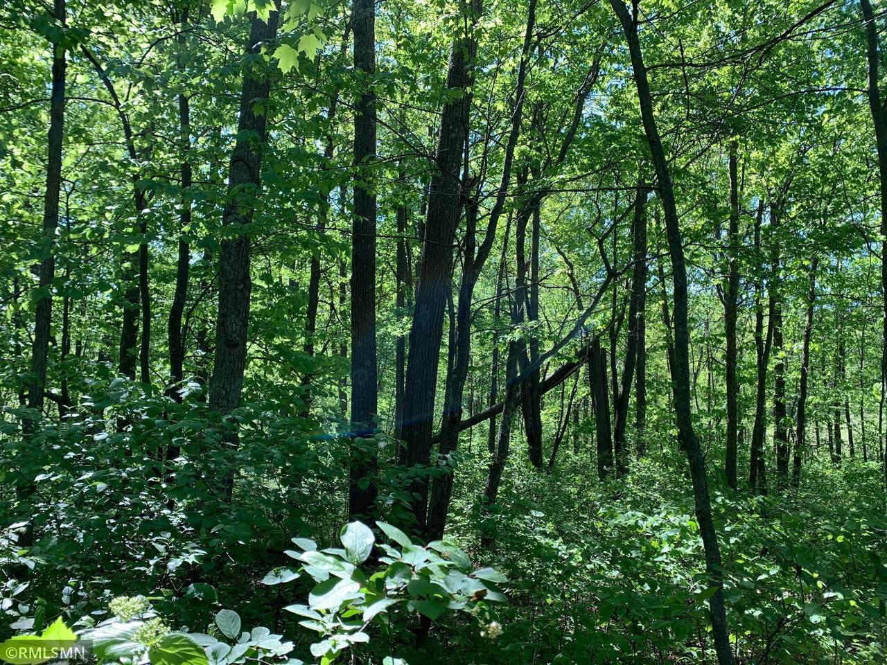 TBD Town Line Drive - Photo 1