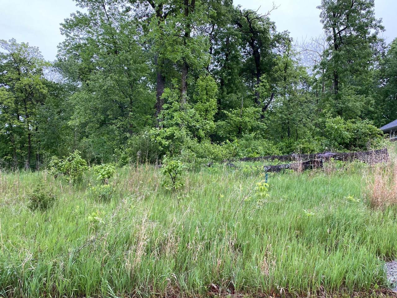 9953 13th Avenue - Photo 1