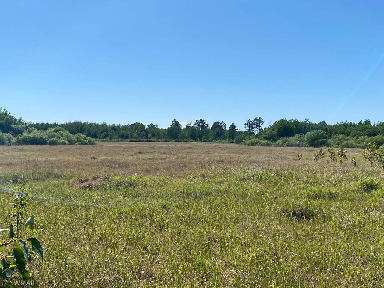TBD County 9 Road - Photo 1