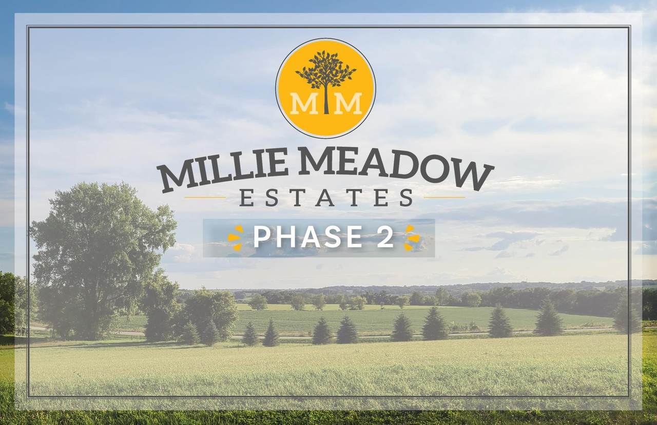 xxxx L2B1 Millie Meadow Drive - Photo 1