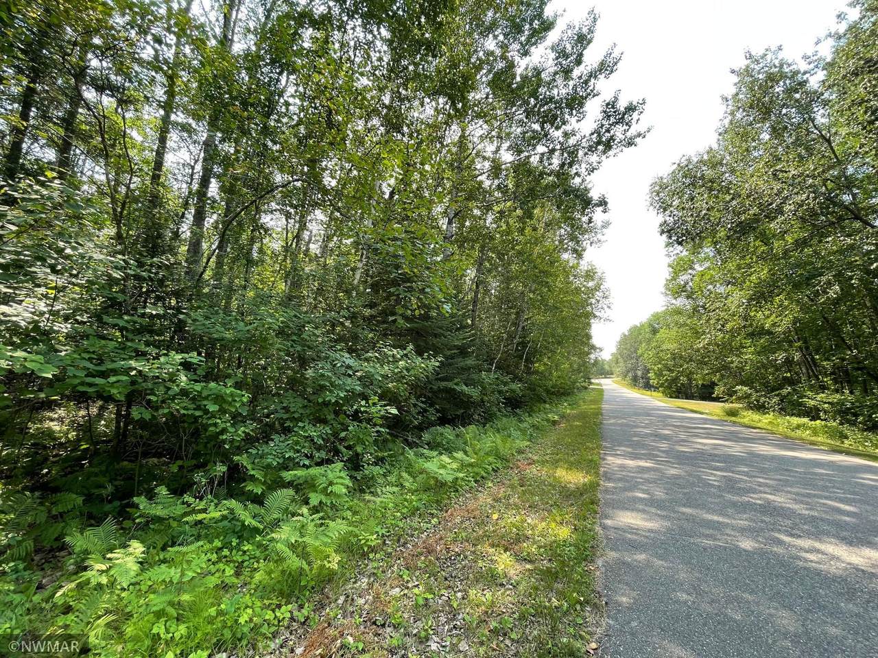 TBD Lot 5 Rolling Hills Drive - Photo 1