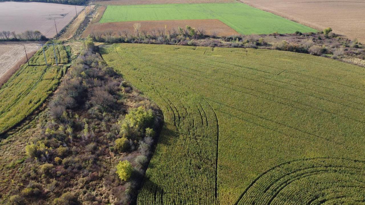 11700 County 17 Road - Photo 1