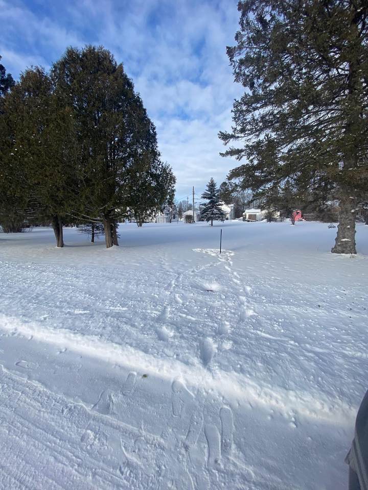 TBD Pine Street - Photo 1
