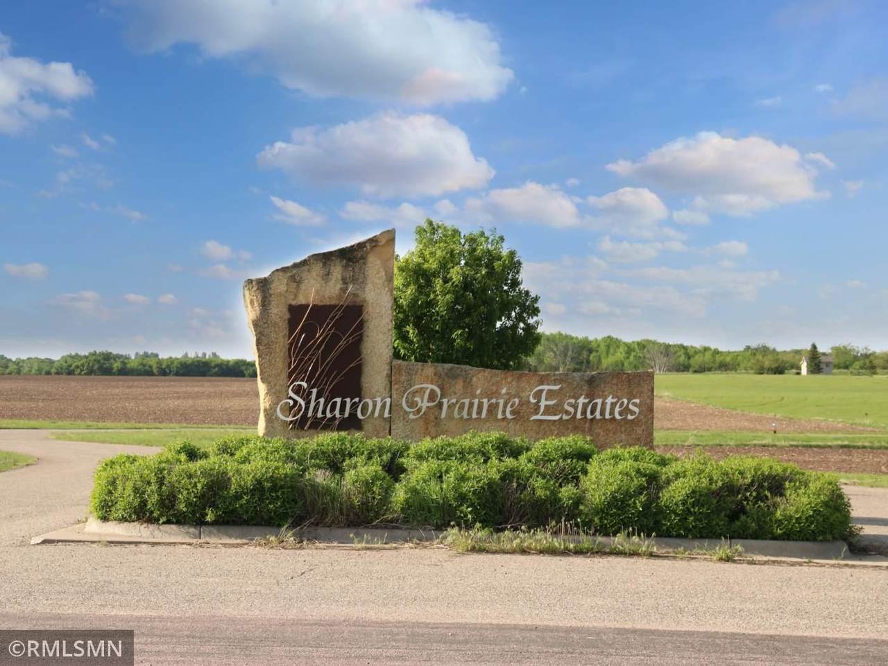 35851 Sharon Prairie Drive - Photo 1