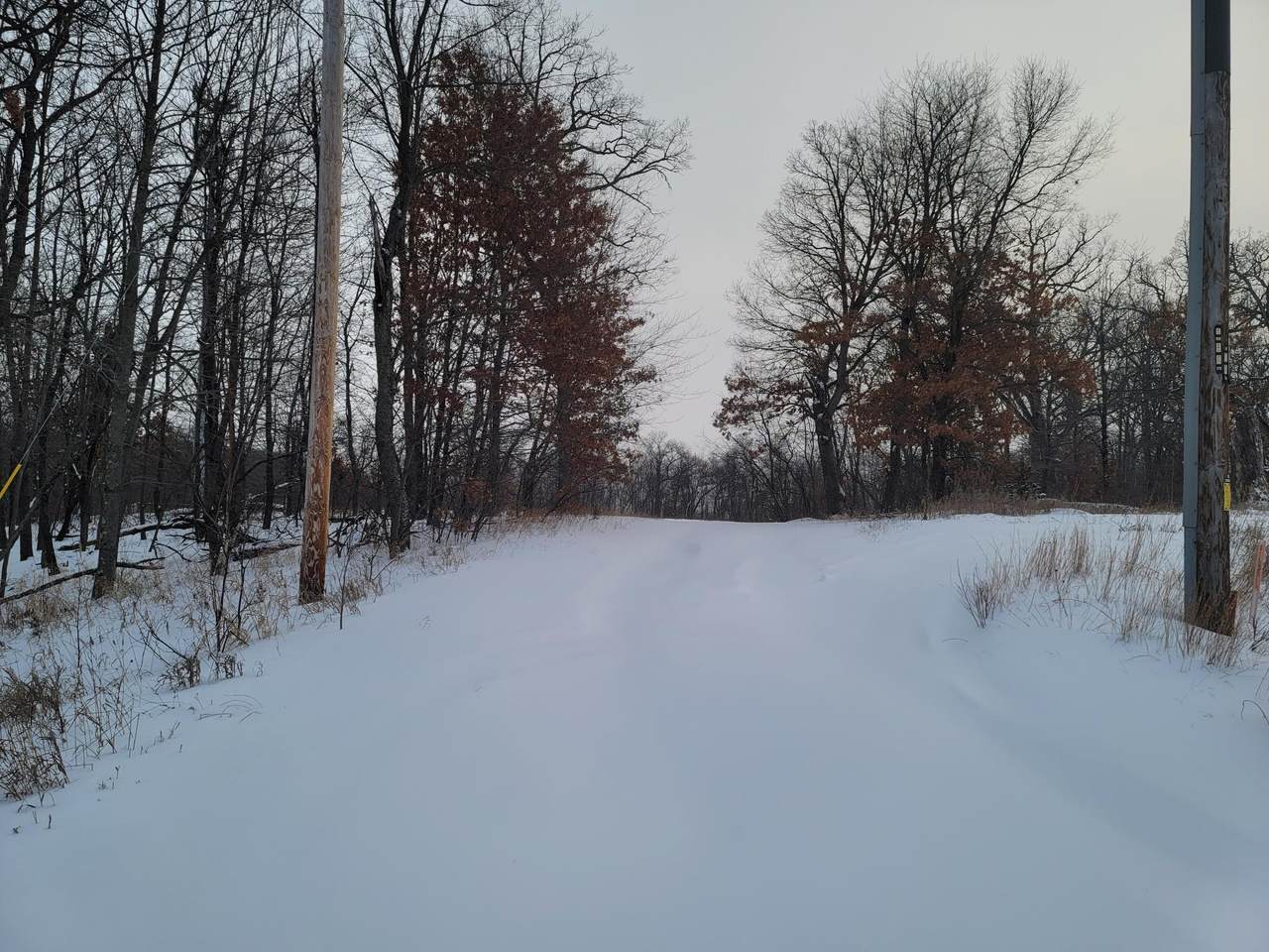 xxx Viking Boulevard - Photo 1