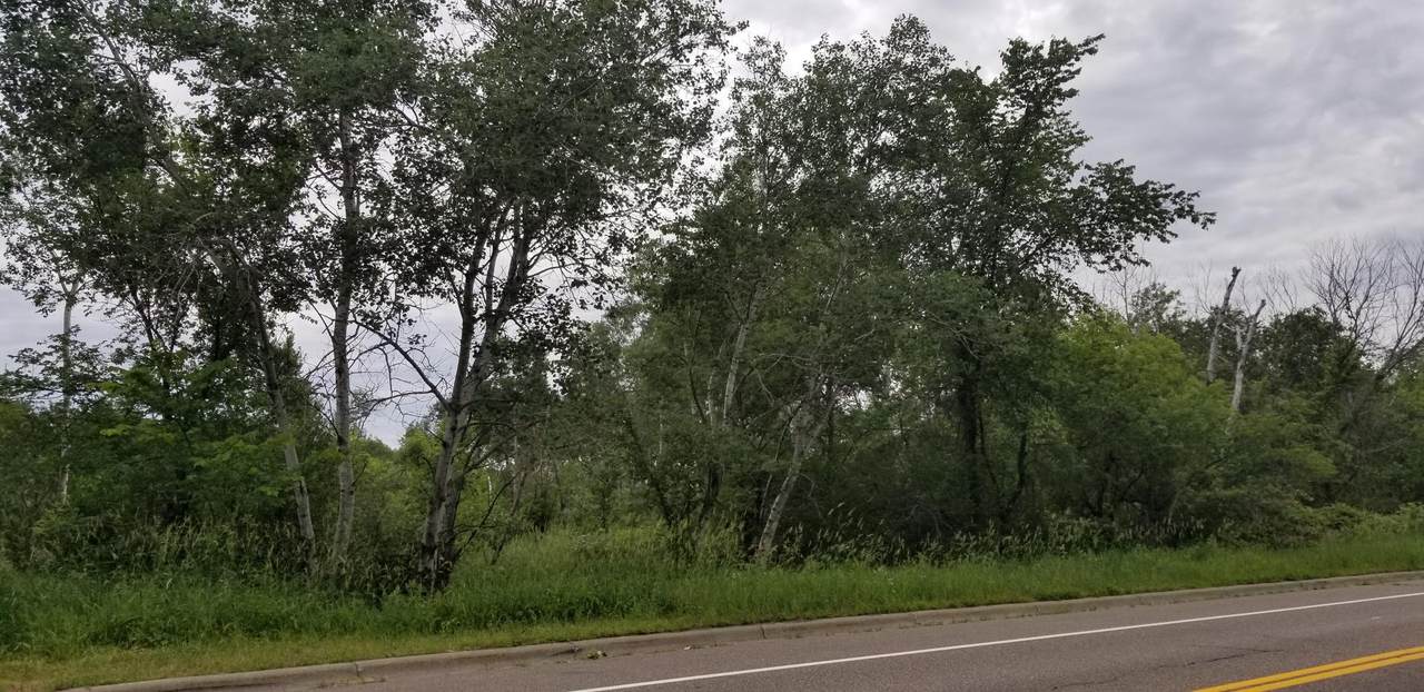 16835 Highway 65 - Photo 1