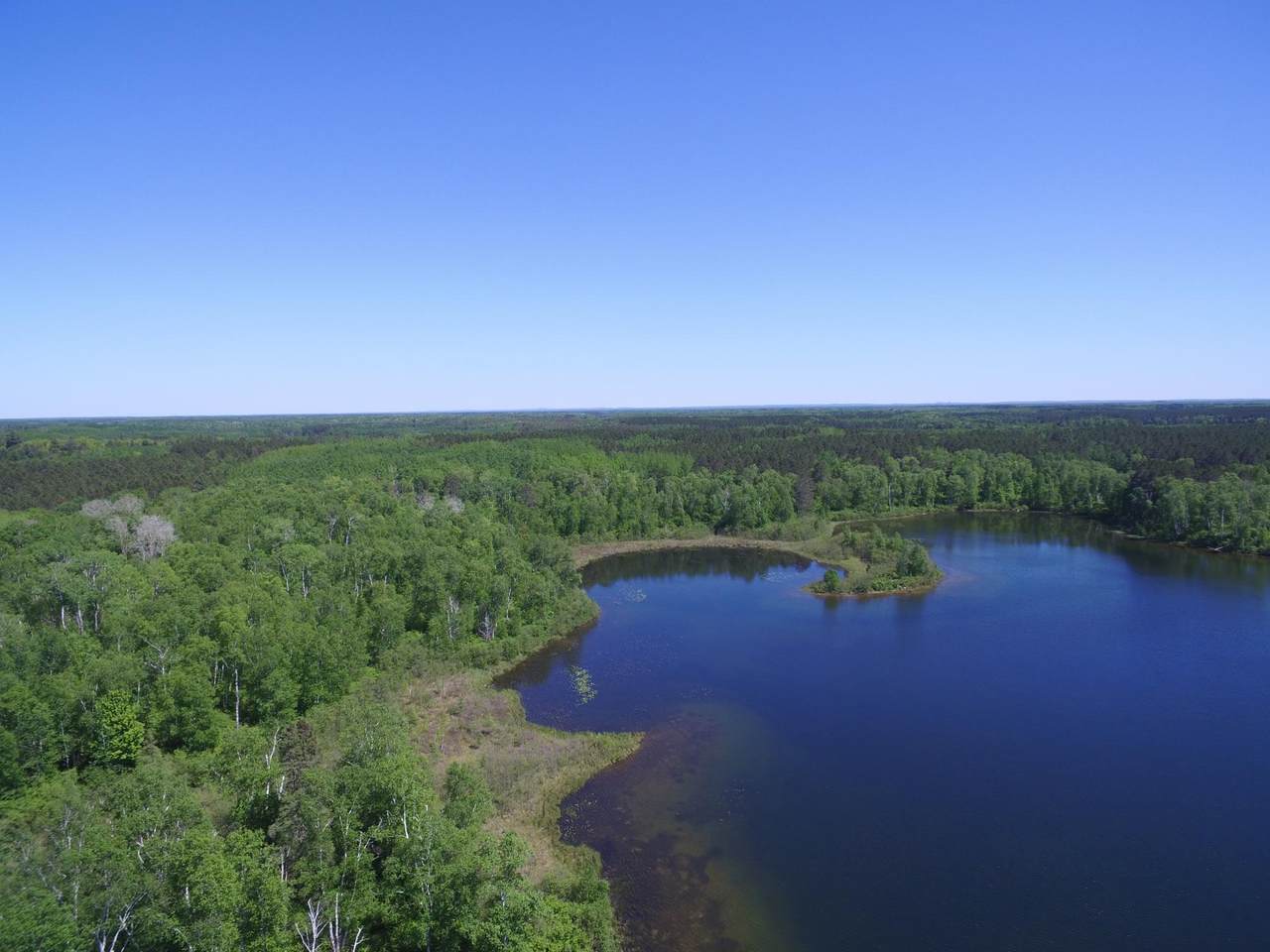 Tract A Forestry Road - Photo 1