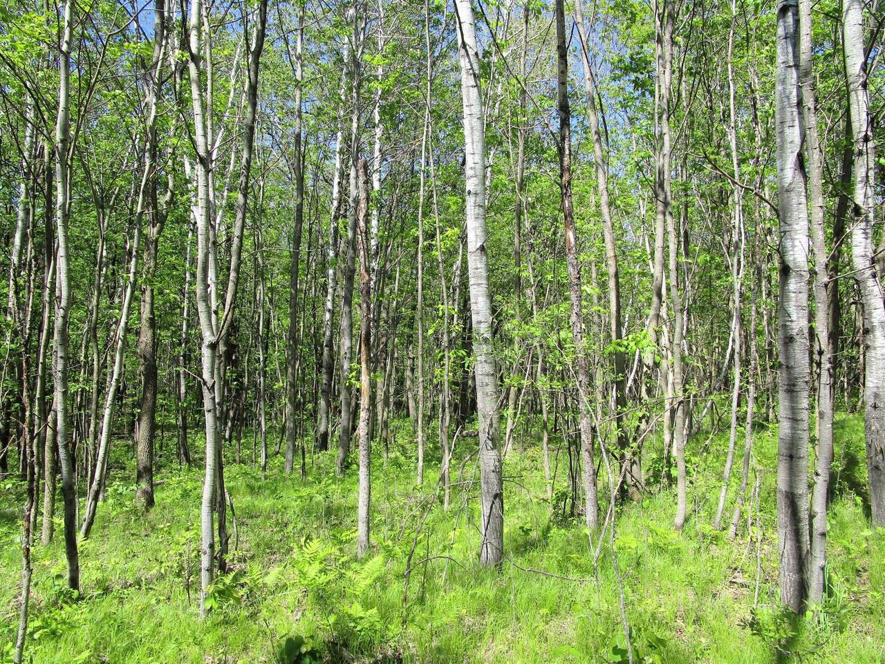 0 15th St County Rd Ee - Photo 1