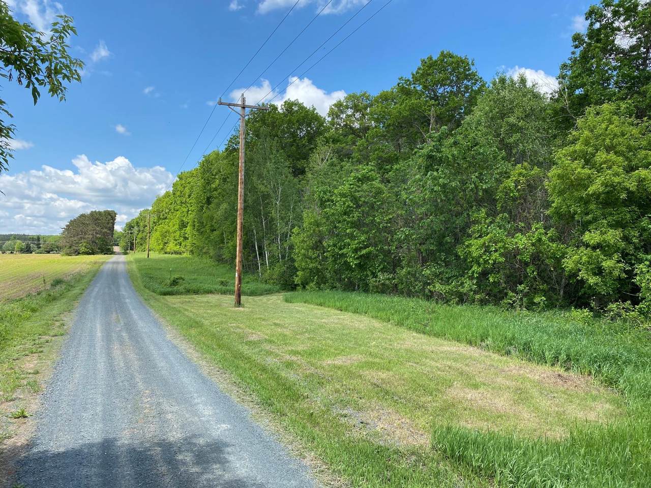LOT 1 Eureka Twsp - Photo 1