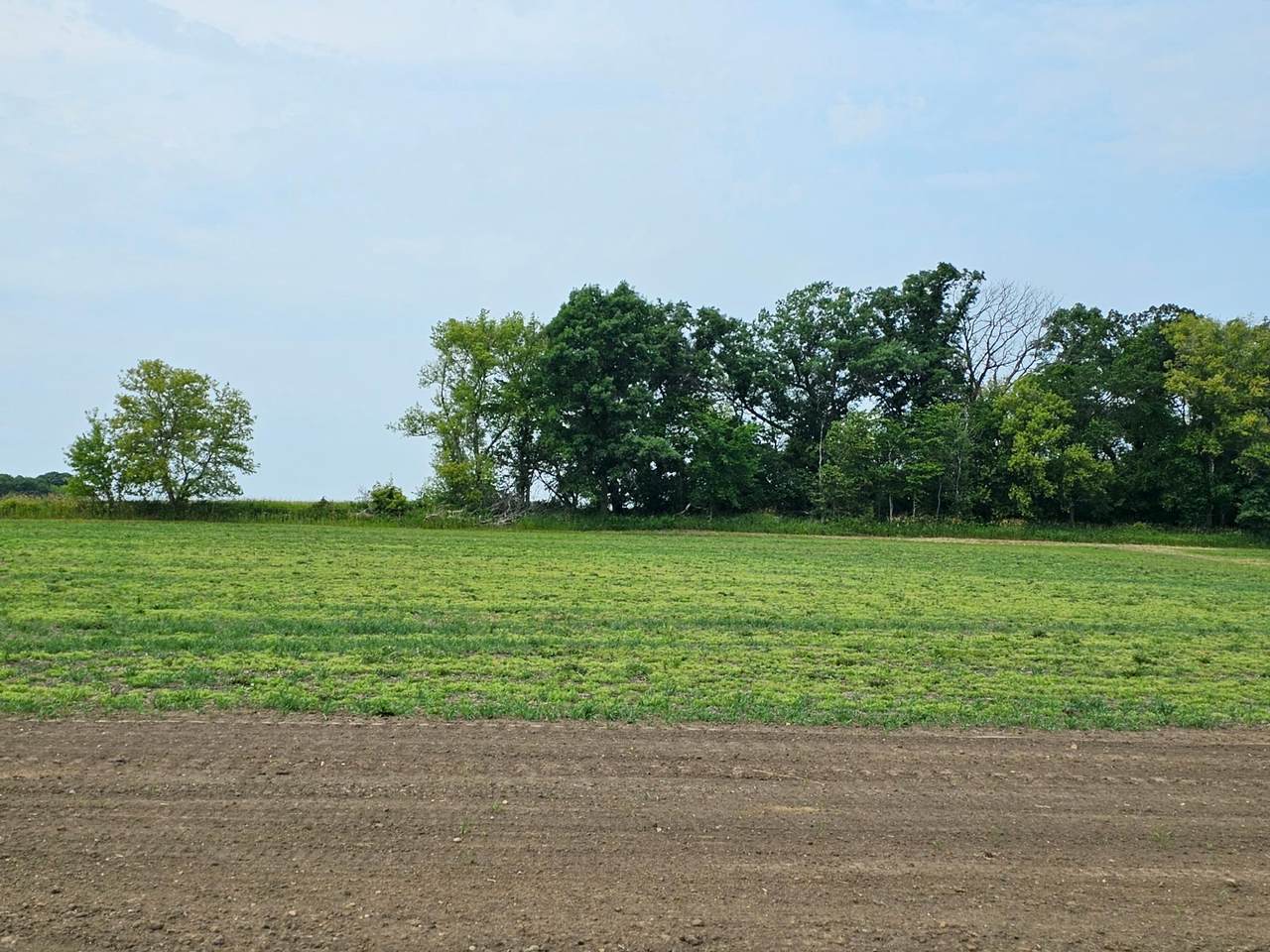 https://bt-photos.global.ssl.fastly.net/northstar/1280_boomver_1_6404434-2.jpg