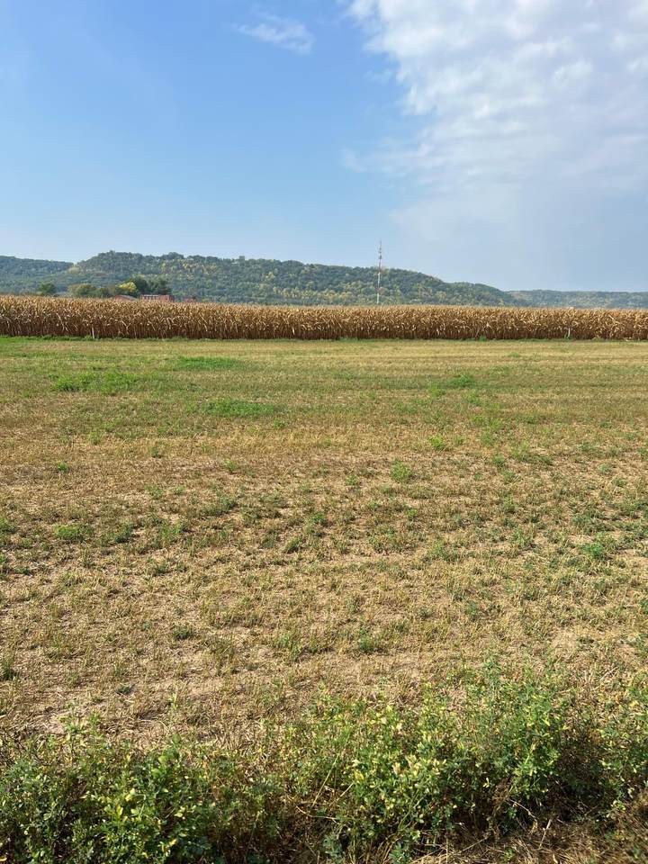 https://bt-photos.global.ssl.fastly.net/northstar/1280_boomver_1_6438058-2.jpg