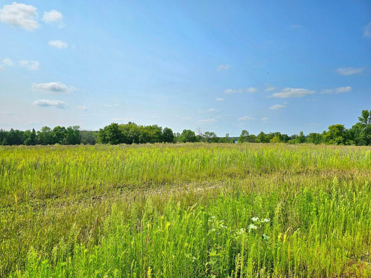 472XX 374th Ave [H2] - Photo 1