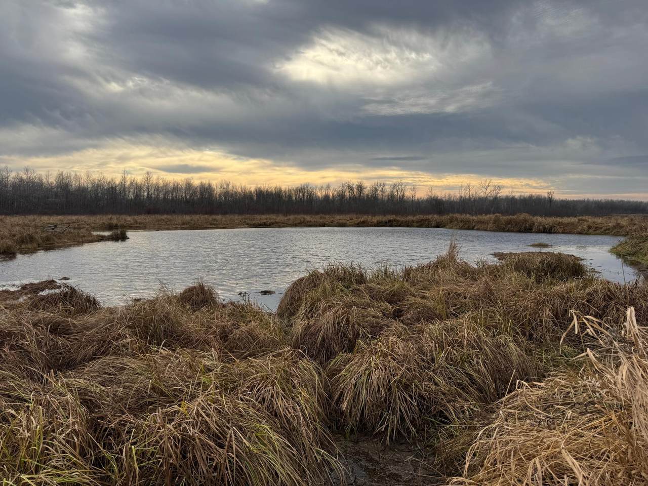 58484 Rutabaga Road - Photo 1