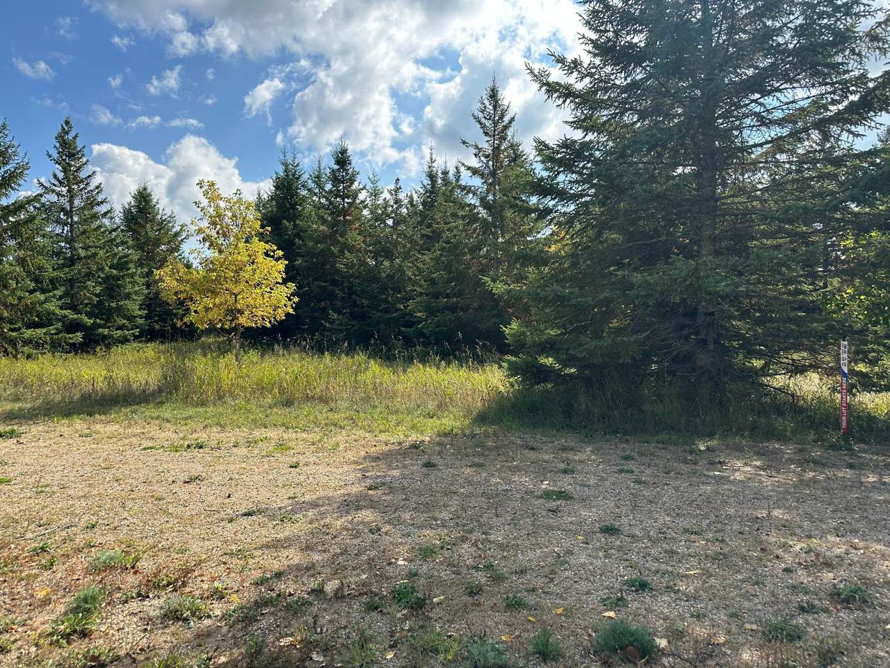 26783 Lidstrom Road - Photo 1