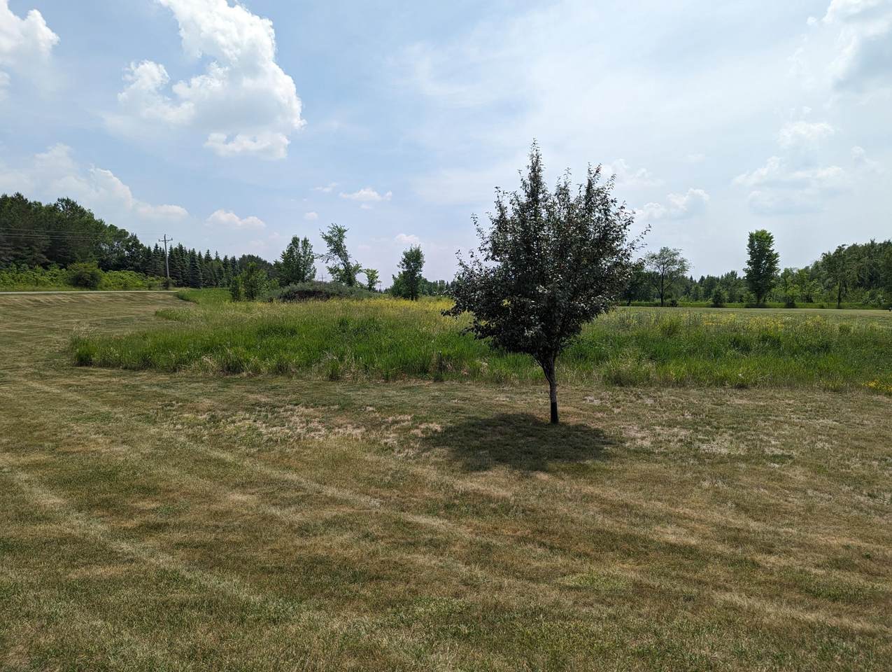 Lot 8 Geneva Golf Club Drive - Photo 1