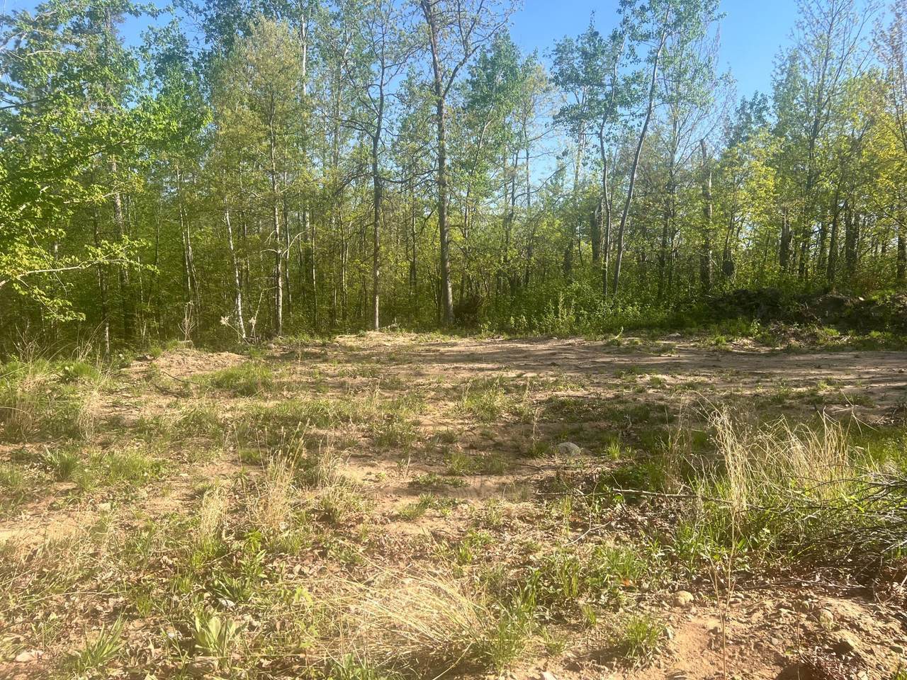 7773 White Overlook Drive - Photo 1