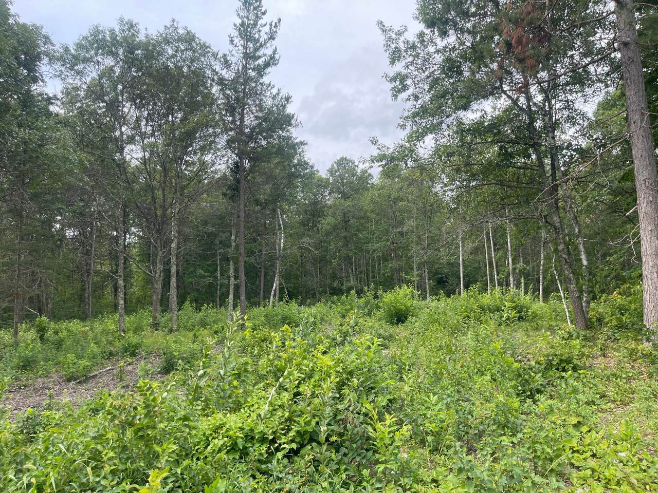 Lot 4 Patriot Ave - Photo 1