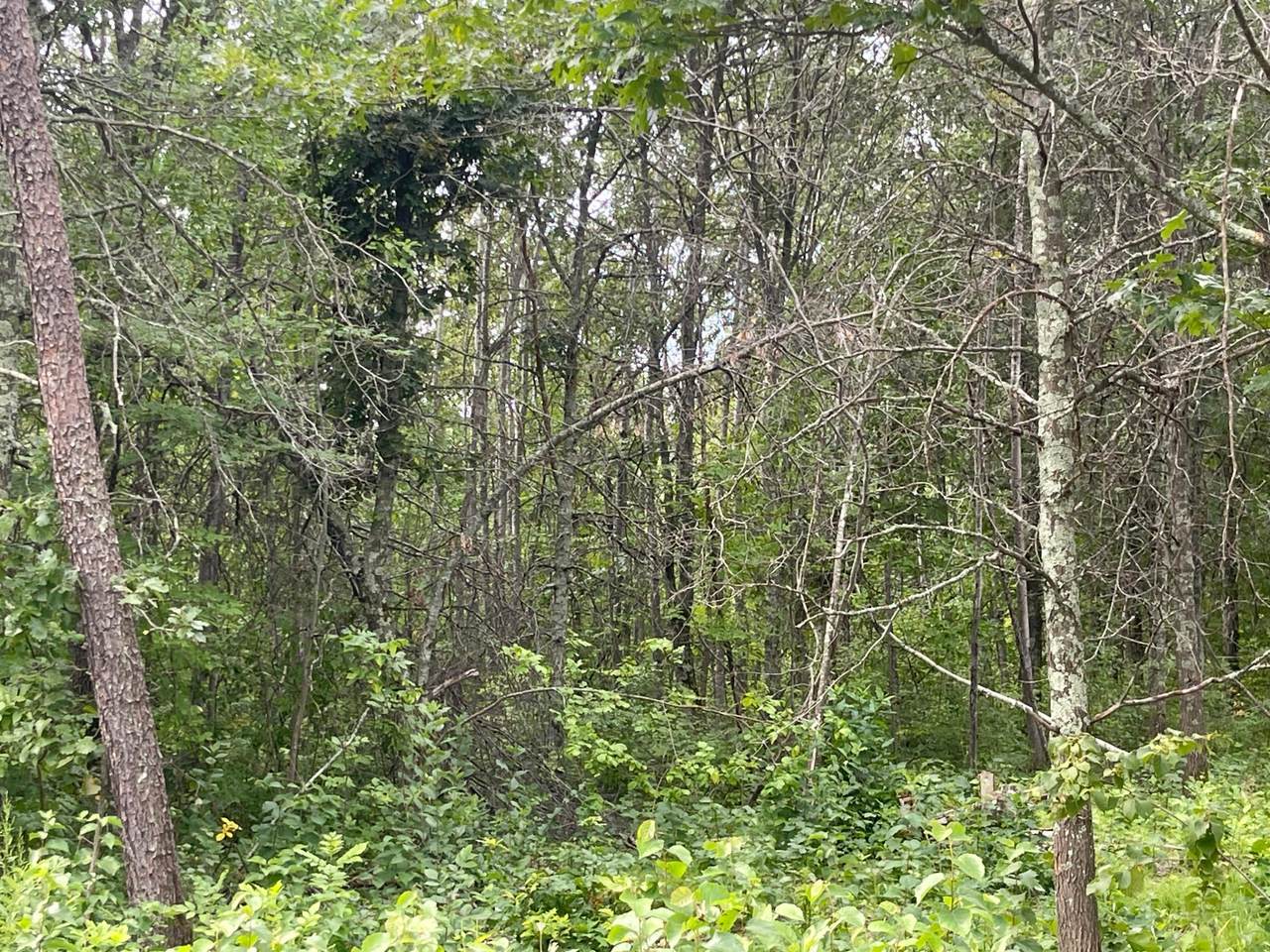 https://bt-photos.global.ssl.fastly.net/northstar/1280_boomver_1_6695206-2.jpg