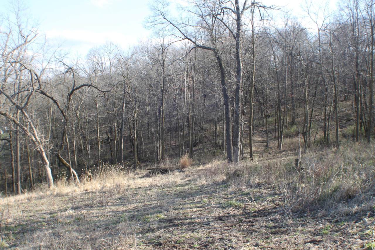 https://bt-photos.global.ssl.fastly.net/northstar/1280_boomver_1_6707240-2.jpg