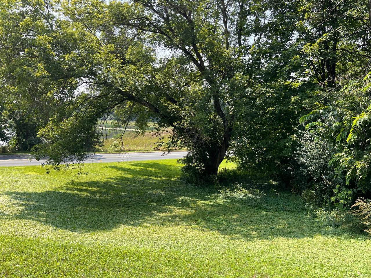 8090 Trillium Trail - Photo 1