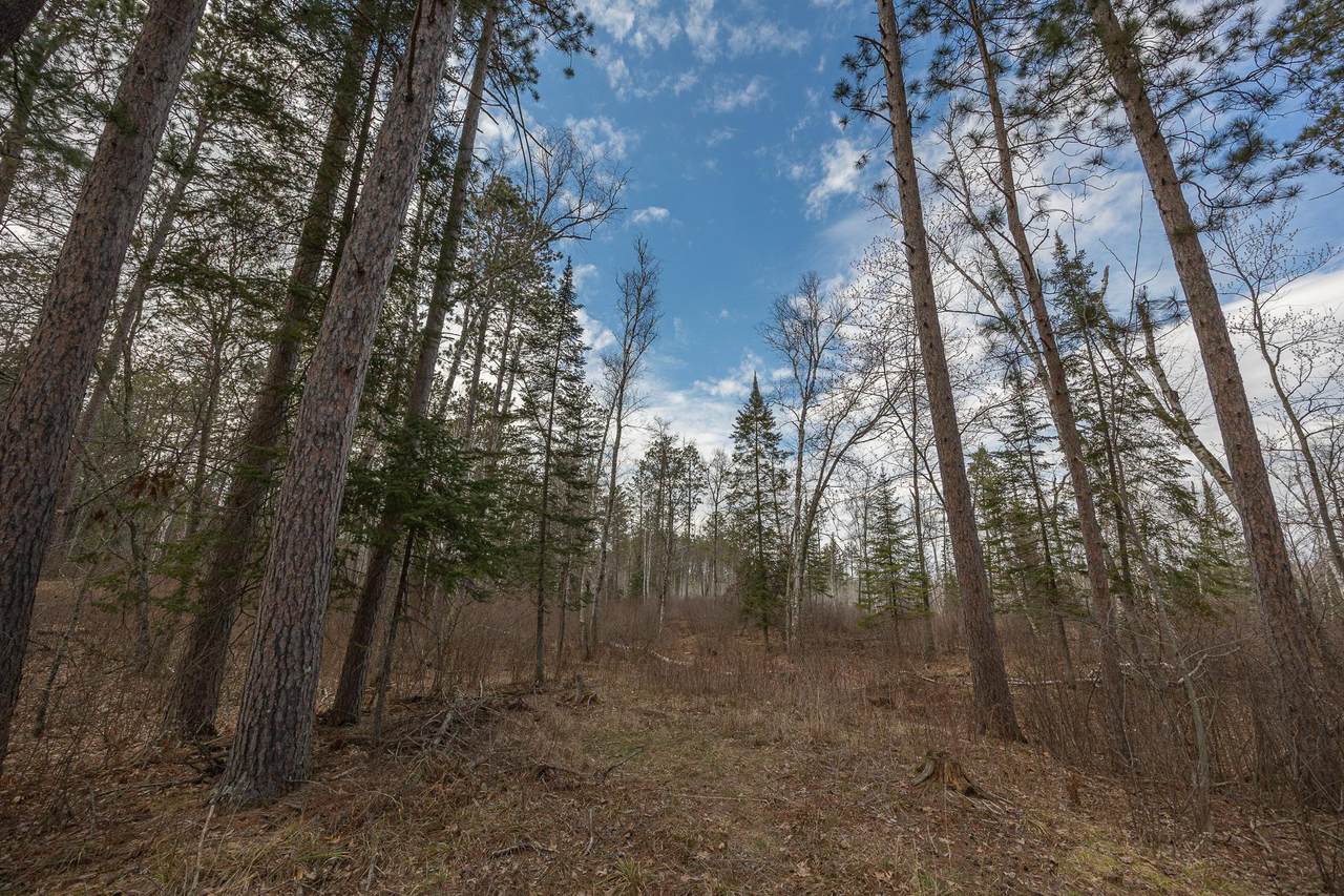 TBD Bass Lake Drive - Photo 1
