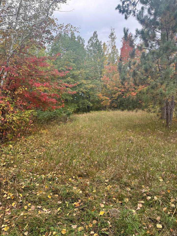 TBD Pond View Lane - Photo 1