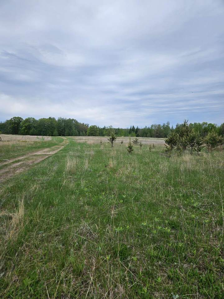 tbd Pillager Creek Trail - Photo 1