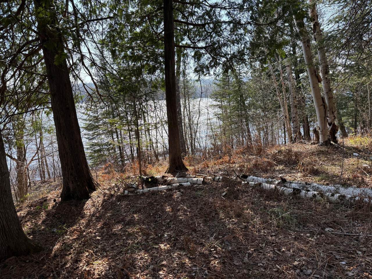 6041 Voyageurs Trail - Photo 1