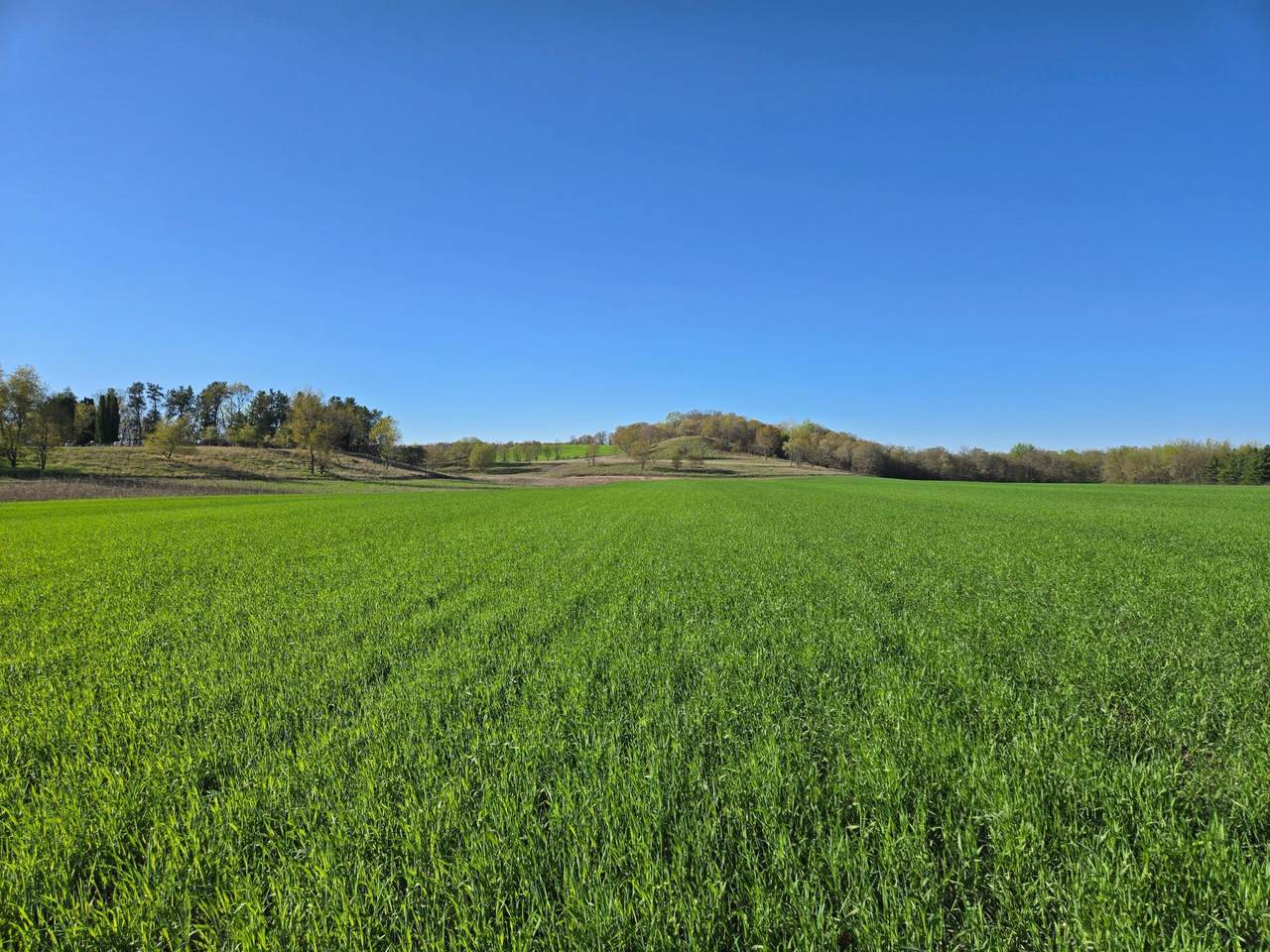 16.74 acres County Road N - Photo 1