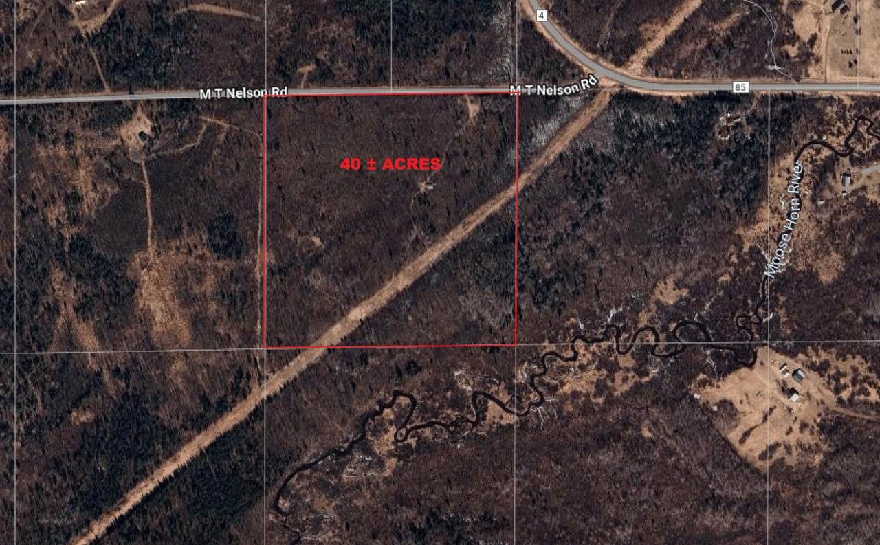 2668 M T Nelson Road - Photo 1