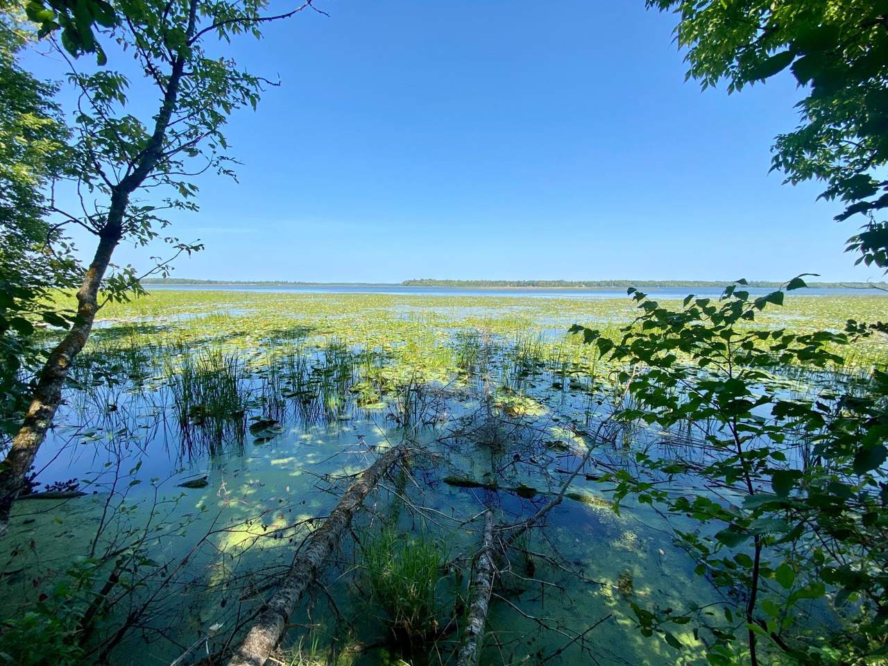 Lot 2 Gull Lake Road - Photo 1
