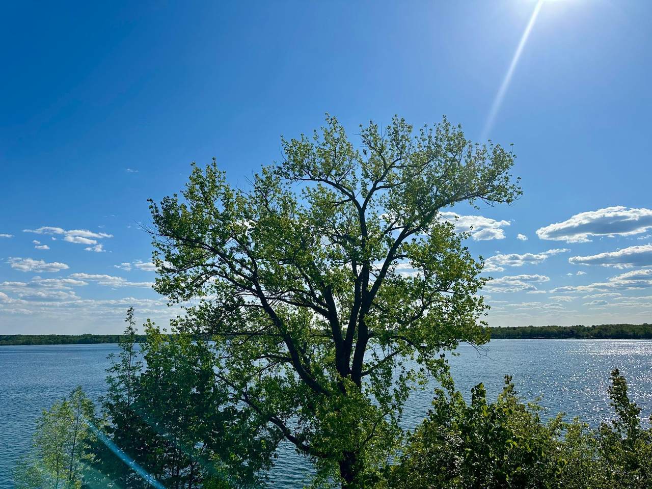 1763 Cadbary Lane - Photo 1