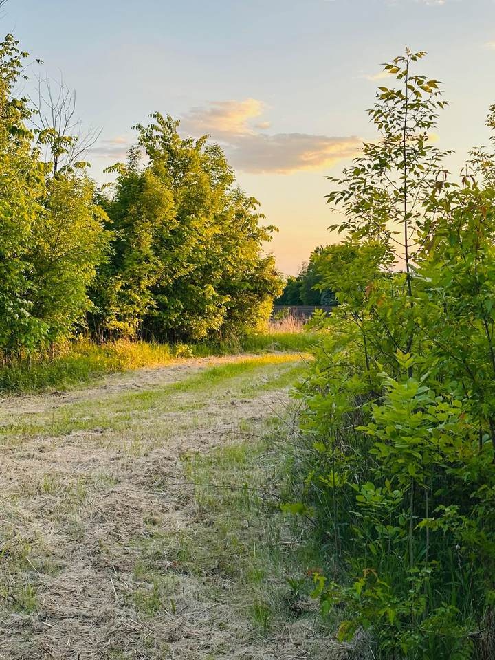 TBD Hwy 19 / Lonsdal Lonsdale Blvd E Boulevard - Photo 1