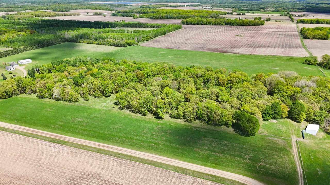 40 Acres Red Oak Road - Photo 1