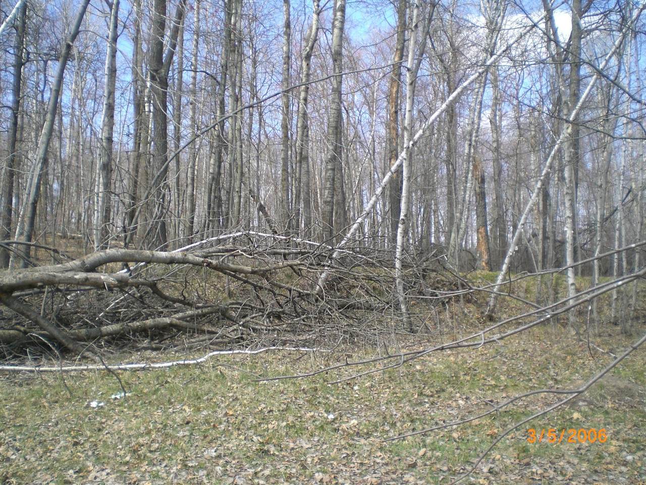 https://bt-photos.global.ssl.fastly.net/northstar/1280_boomver_1_6731095-2.jpg