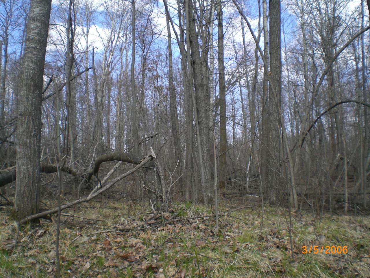https://bt-photos.global.ssl.fastly.net/northstar/1280_boomver_1_6731095-2.jpg