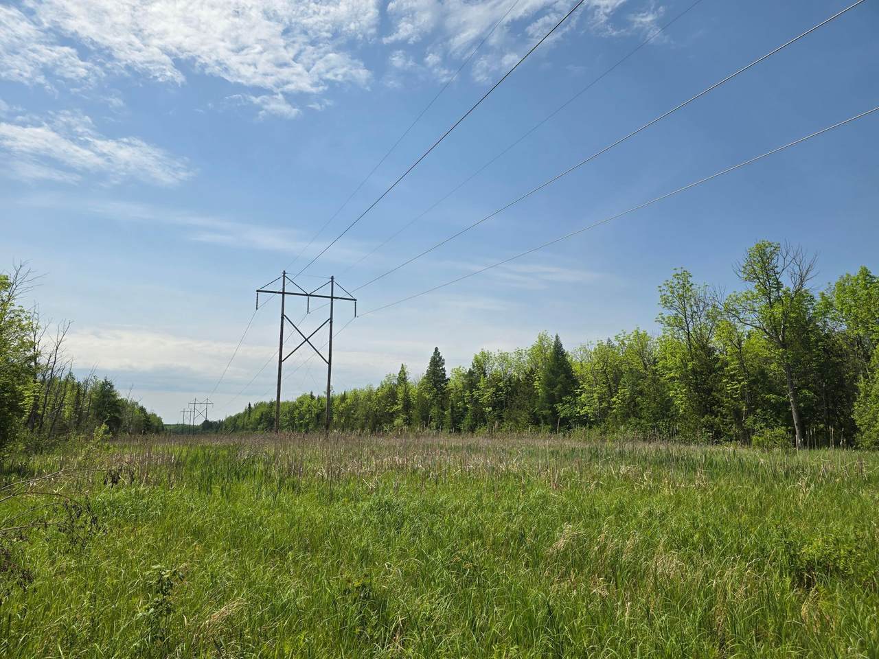 TBD Town Road 166 - Photo 1