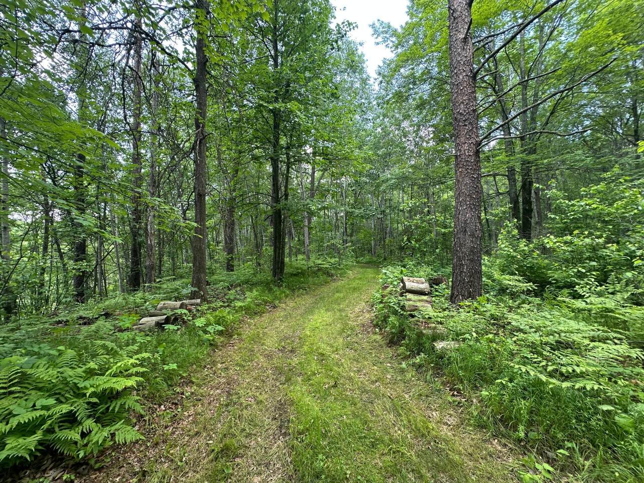 https://bt-photos.global.ssl.fastly.net/northstar/1280_boomver_1_6738715-2.jpg