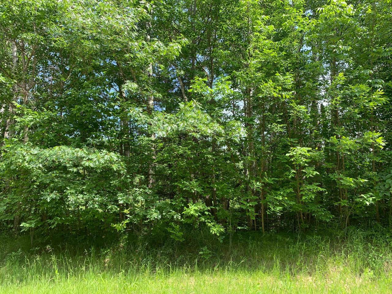 https://bt-photos.global.ssl.fastly.net/northstar/orig_boomver_1_6741155-2.jpg