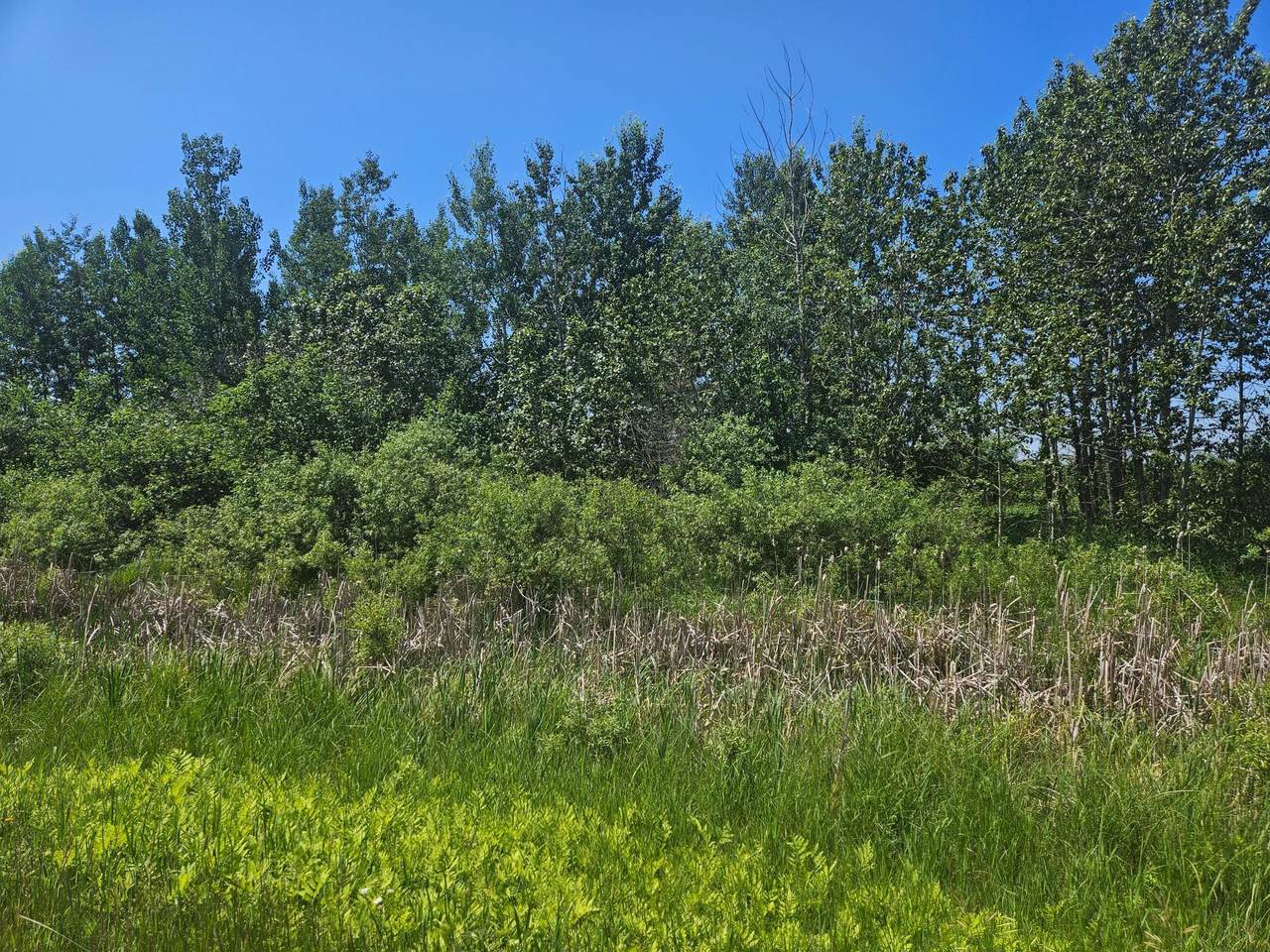 xxx County Road 32 - Photo 1