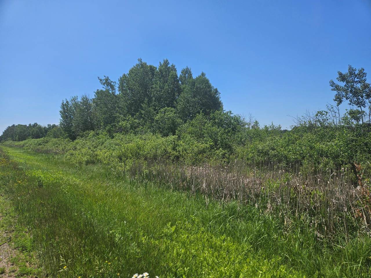 https://bt-photos.global.ssl.fastly.net/northstar/1280_boomver_1_6759014-2.jpg