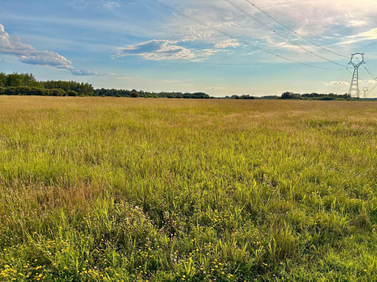 TBD 13th Ave Sw - Photo 1