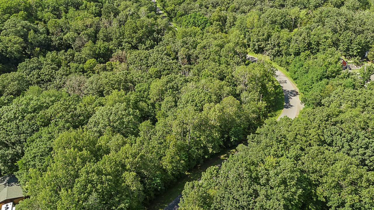 TBD Delong Road - Photo 1