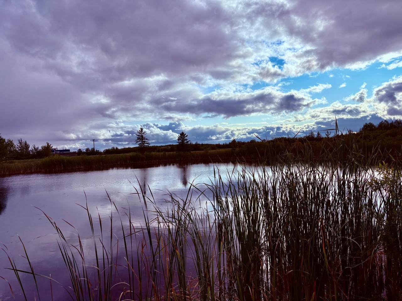 TBD 7th St Sw - Photo 1