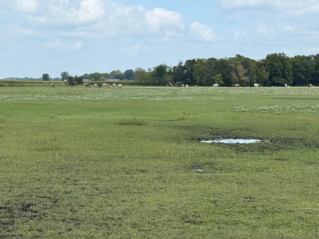 38388 512th St - Photo 1