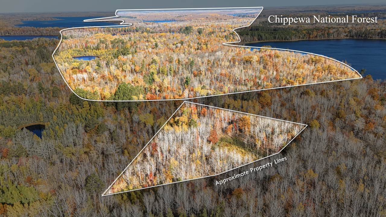 TBD Wildernessa Road - Photo 1